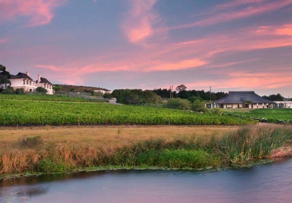 Bouchard Finlayson Winery and Cellars Experience - Hermanus